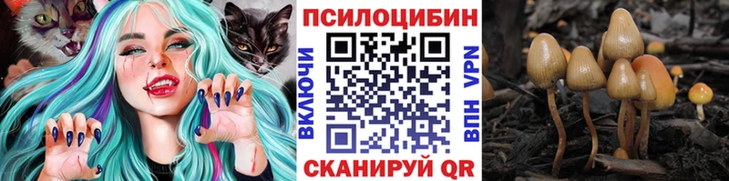 гидра маркетплейс  Белово  Псилоцибиновые грибы Psilocybe 